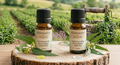 Huile Essentielle Eucalyptus Radiata Bio 10ml