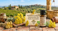 Huile Essentielle Hélichryse Italienne Bio (Immortelle) 10ml
