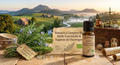 Huile Essentielle Romarin 1.8 Cinéole Bio 10ml